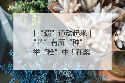 “遗”道动起来｜“芒”有所“种”，一举“糕”中！在桨影拳风里，邂逅最“动”人的风景！（内含报名信息）